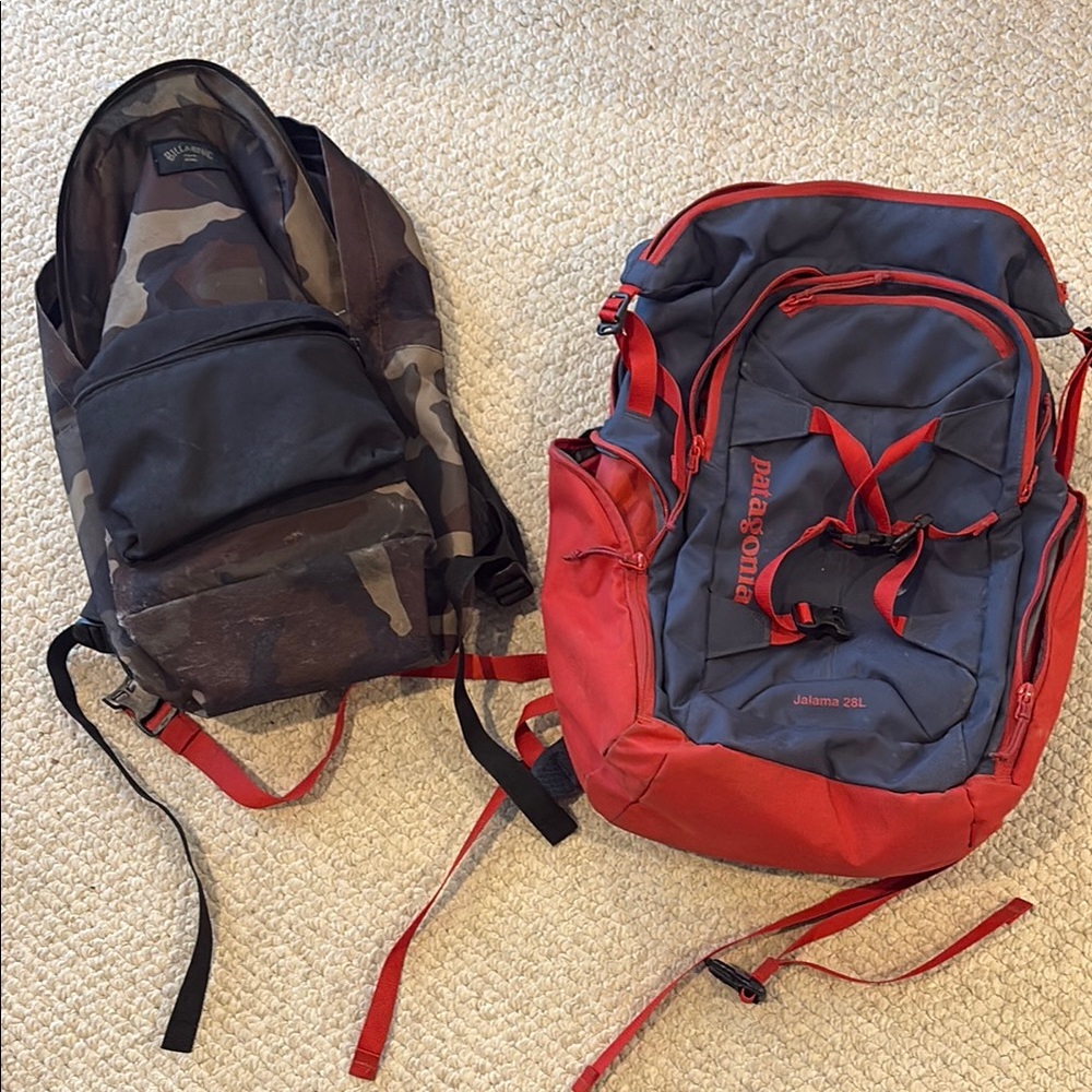 Patagonia Red and Black Everyday Backpack and billabong backpack